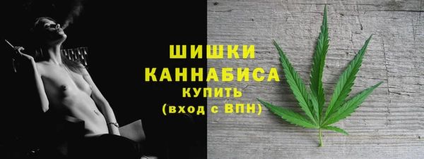 прущие грибы Абдулино