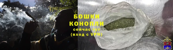 прущие грибы Абдулино