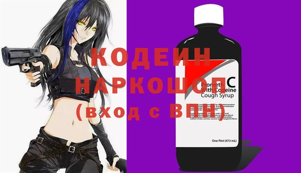 прущие грибы Рославль