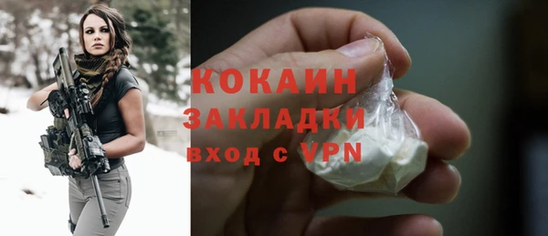 прущие грибы Абдулино